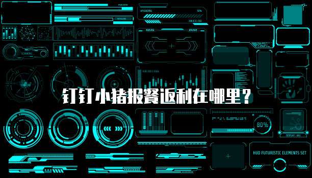钉钉小猪报餐返利在哪里？