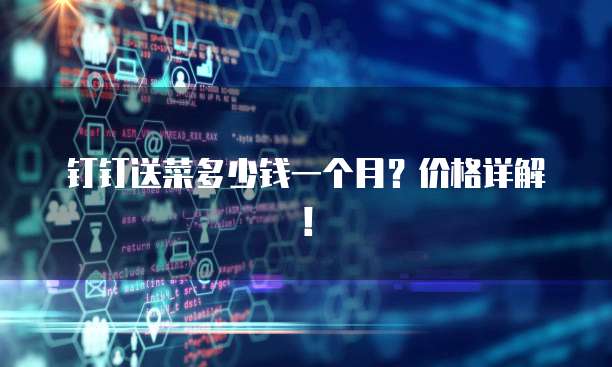钉钉送菜多少钱一个月？价格详解！