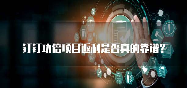 钉钉功倍项目返利是否真的靠谱?