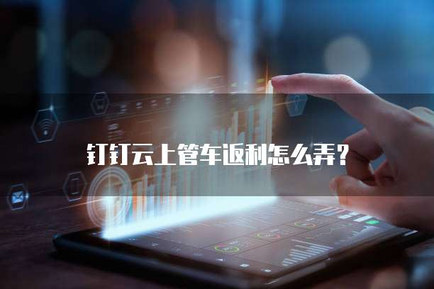 钉钉云上管车返利怎么弄?