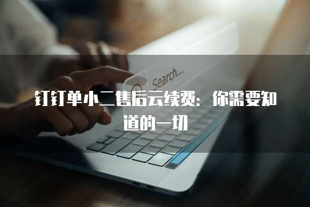 钉钉单小二售后云续费：你需要知道的一切