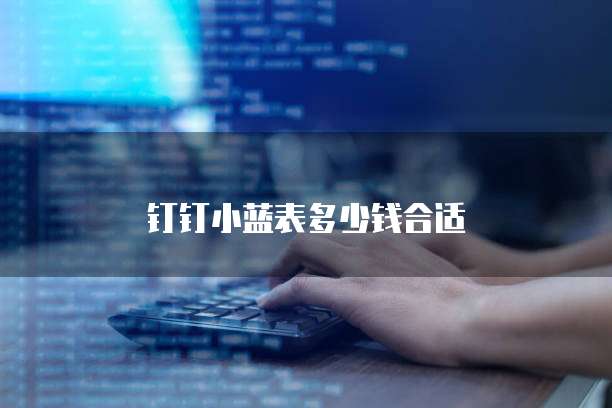 钉钉小蓝表多少钱合适