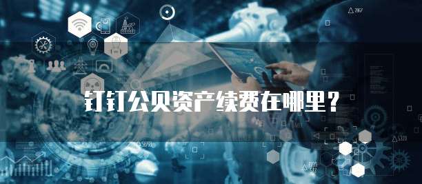 钉钉公贝资产续费在哪里？