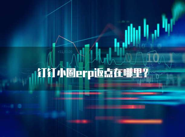 钉钉小圈erp返点在哪里?