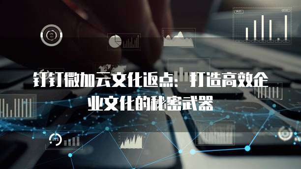 钉钉微加云文化返点:打造高效企业文化的秘密武器
