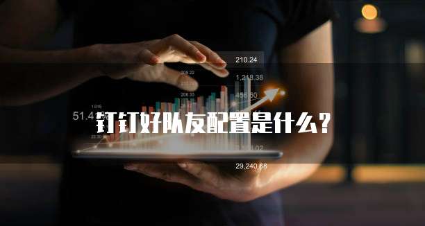 钉钉好队友配置是什么？
