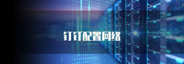 钉钉配置网络
