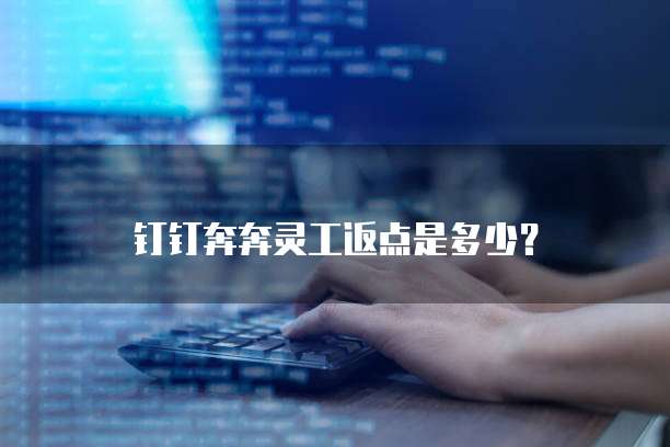 钉钉奔奔灵工返点是多少?
