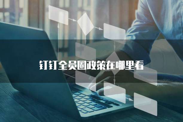 钉钉全员圈政策在哪里看