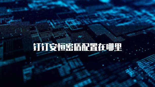 钉钉安恒密盾配置在哪里