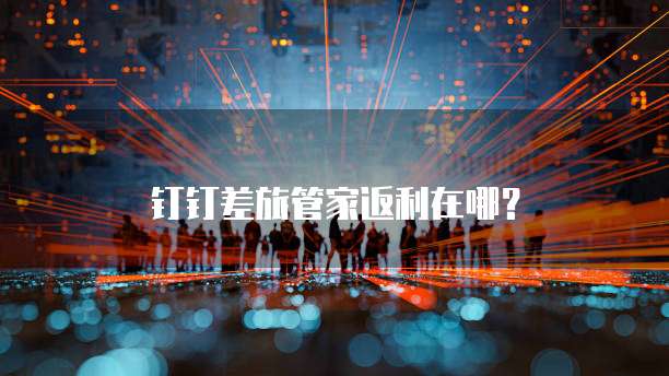 钉钉差旅管家返利在哪?