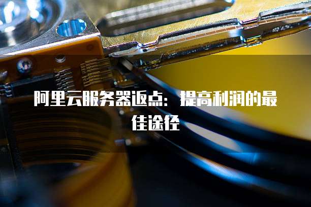 阿里云服务器返点:提高利润的最佳途径