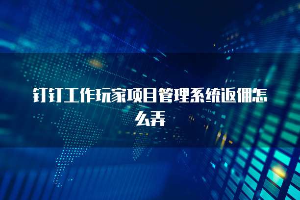 钉钉工作玩家项目管理系统返佣怎么弄