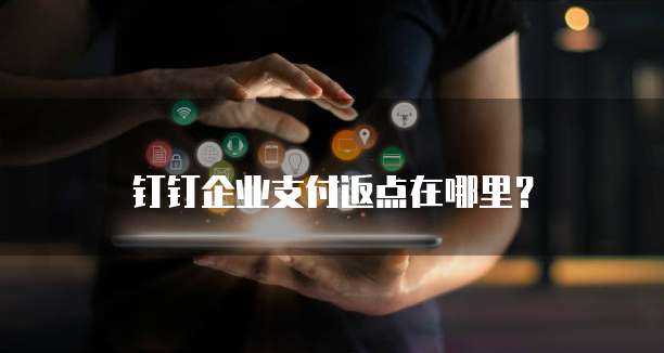钉钉企业支付返点在哪里?