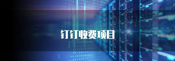 钉钉收费项目