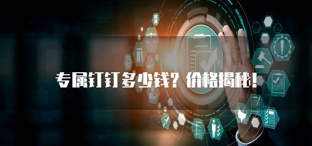 专属钉钉多少钱?价格揭秘!
