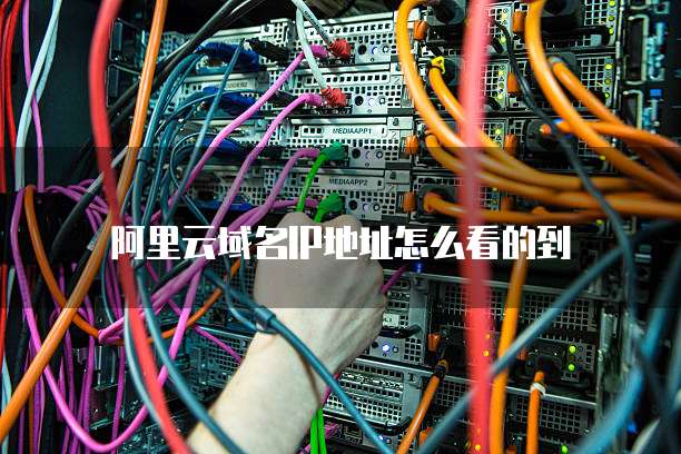 阿里云域名IP地址怎么看的到