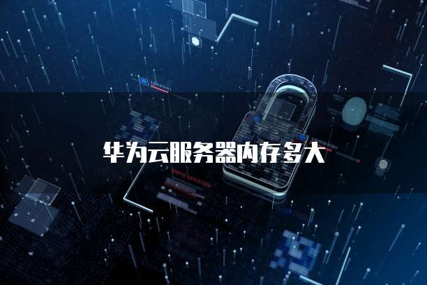 阿里云什么服务器可以挂东西的?