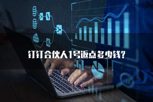 钉钉合伙人1号返点多少钱?