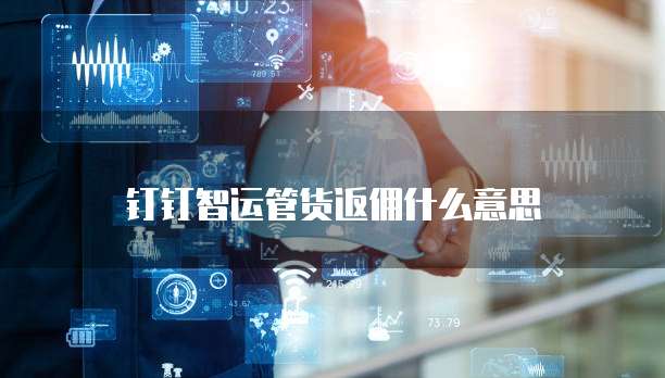 钉钉智运管货返佣什么意思