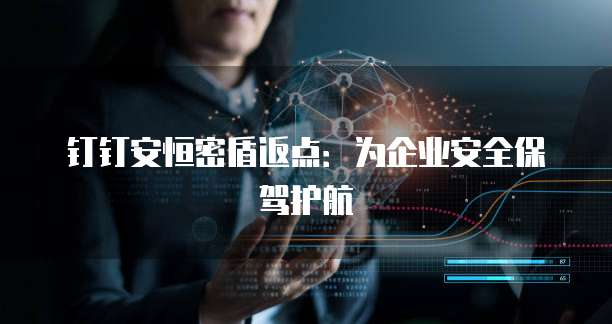 钉钉安恒密盾返点:为企业安全保驾护航