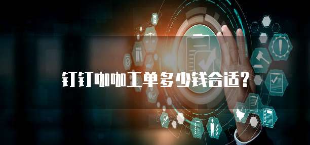 钉钉咖咖工单多少钱合适?