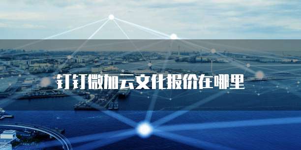 钉钉微加云文化报价在哪里