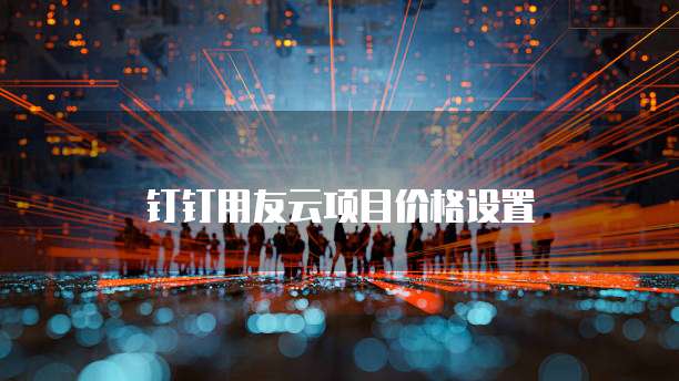 钉钉用友云项目价格设置