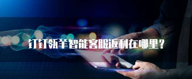 钉钉瓴羊智能客服返利在哪里？