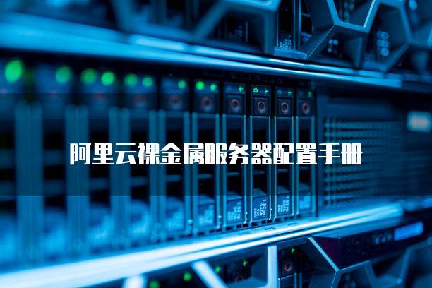 阿里云裸金属服务器配置手册