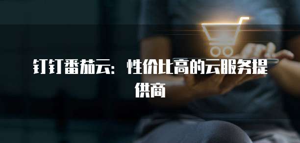 钉钉番茄云:性价比高的云服务提供商