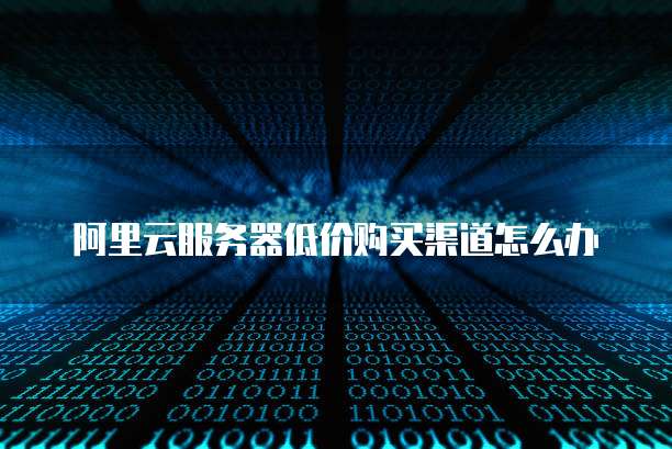 阿里云服务器低价购买渠道怎么办