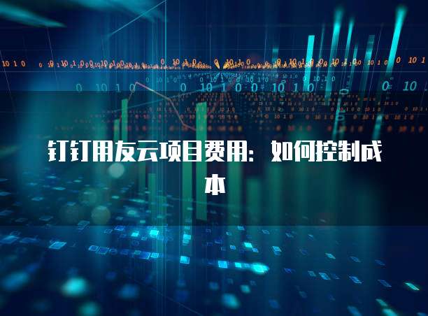 钉钉用友云项目费用：如何控制成本