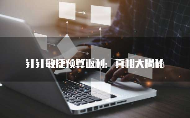 钉钉敏捷预算返利:真相大揭秘