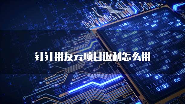 钉钉用友云项目返利怎么用