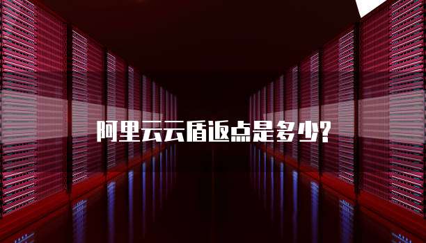 阿里云云盾返点是多少?