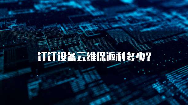 钉钉设备云维保返利多少？