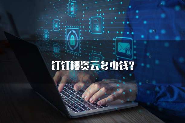钉钉楼资云多少钱？