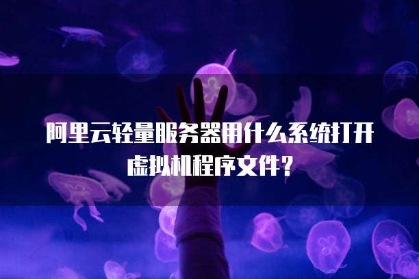 阿里云轻量服务器用什么系统打开虚拟机程序文件?