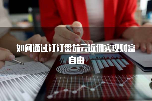 如何通过钉钉番茄云返佣实现财富自由