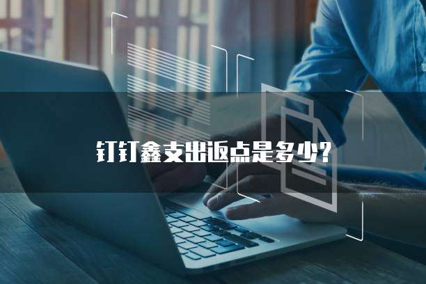 钉钉鑫支出返点是多少？