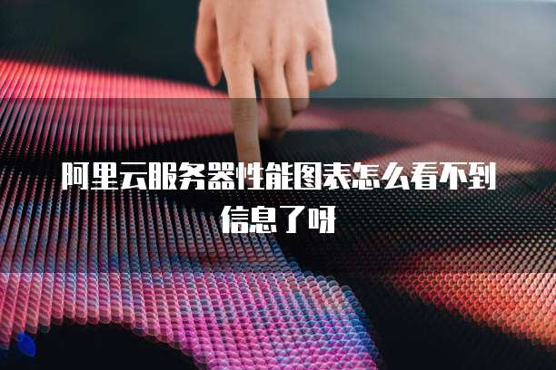 阿里云服务器性能图表怎么看不到信息了呀