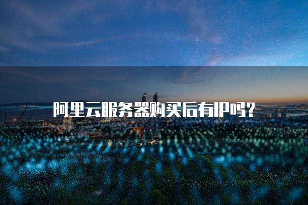 阿里云服务器购买后有IP吗？