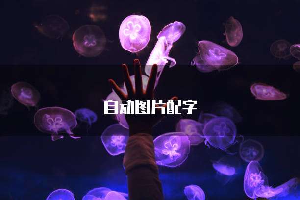 阿里云对象储存流量包