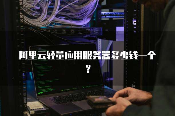 阿里云轻量应用服务器多少钱一个?