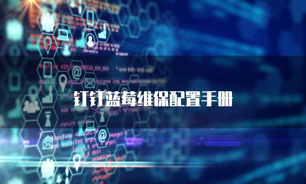 钉钉蓝莓维保配置手册