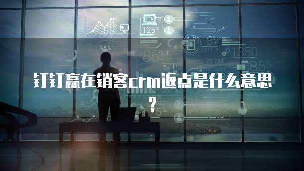 钉钉赢在销客crm返点是什么意思?