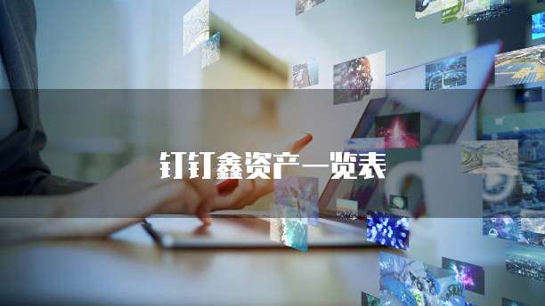 钉钉鑫资产一览表