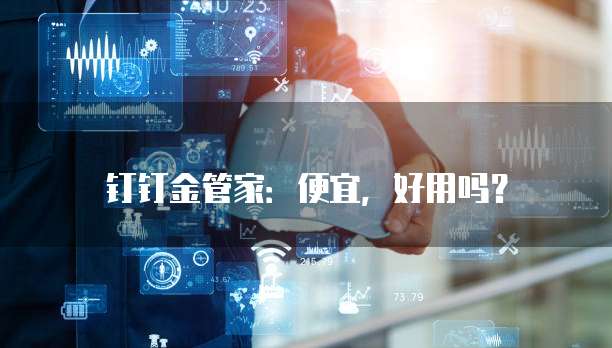 钉钉金管家:便宜,好用吗?