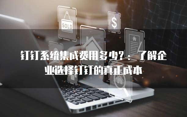钉钉系统集成费用多少?:了解企业选择钉钉的真正成本